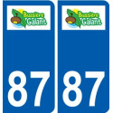 87 Panazol logo sticker plate stickers city