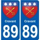 89 Auxerre blason autocollant plaque stickers ville