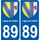 89 Auxerre escudo de armas de la etiqueta engomada de la placa de pegatinas de la ciudad