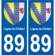 89 Auxerre escudo de armas de la etiqueta engomada de la placa de pegatinas de la ciudad