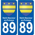 89 Auxerre blason autocollant plaque stickers ville