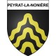 Peyrat-la-Nonière 23 ville Stickers blason autocollant adhésif