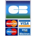 Autocollant CB acceptée Voiture Mur Mural Boutique magasin Hotel Taxi Carte bancaire Bleue visa sticker logo 1