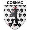 Cosnac 19 ville Stickers blason autocollant adhésif
