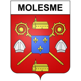 Molesme 21 ville Stickers blason autocollant adhésif