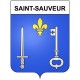 Saint-Sauveur 21 ville Stickers blason autocollant adhésif