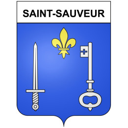 Saint-Sauveur 21 ville Stickers blason autocollant adhésif