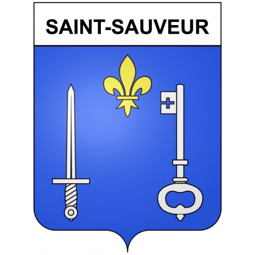 Saint-Sauveur 21 ville Stickers blason autocollant adhésif