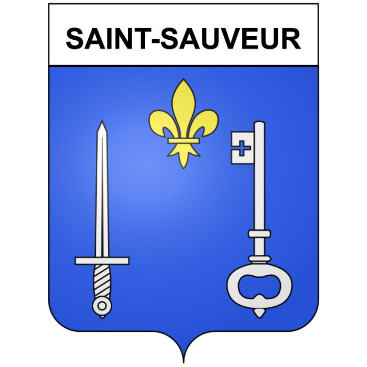 Saint-Sauveur 21 ville Stickers blason autocollant adhésif