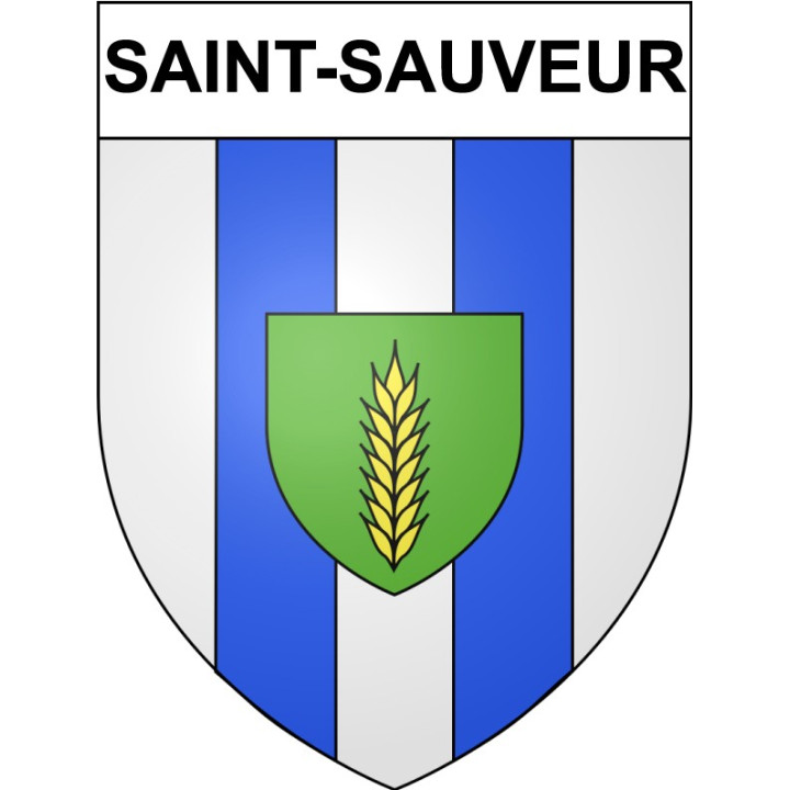 Saint-Sauveur 29 ville Stickers blason autocollant adhésif