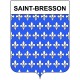 Saint-Bresson 30 ville Stickers blason autocollant adhésif