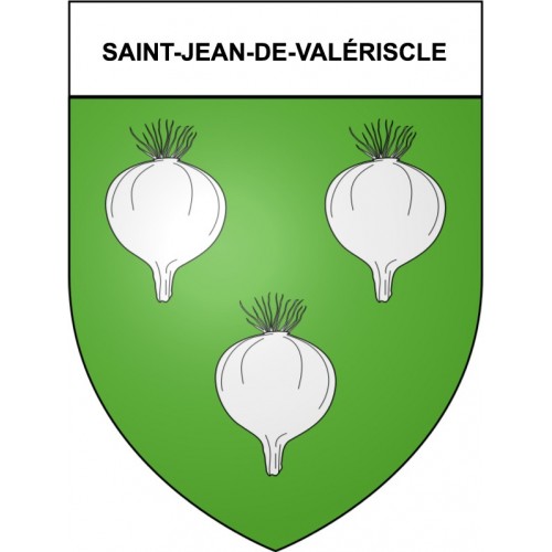 Saint-Jean-de-Valériscle 30 ville Stickers blason autocollant adhésif