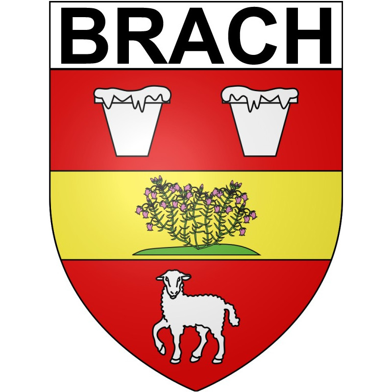 Bazas Sticker wappen, gelsenkirchen, augsburg, klebender aufkleber