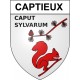 Captieux 33 ville Stickers blason autocollant adhésif