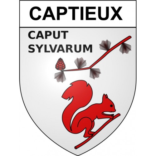 Captieux 33 ville Stickers blason autocollant adhésif