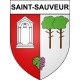 Saint-Sauveur 33 ville Stickers blason autocollant adhésif