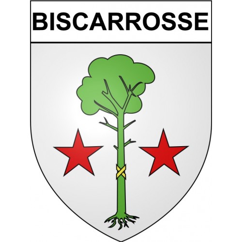 Biscarrosse 40 ville Stickers blason autocollant adhésif