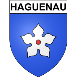 Stickers coat of arms Anglet adhesive sticker