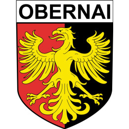 Stickers coat of arms Anglet adhesive sticker