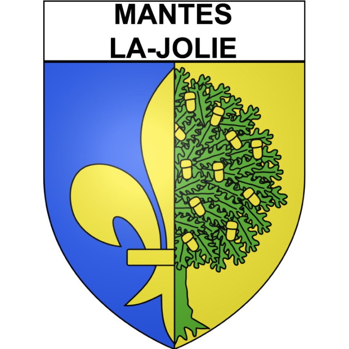 Stickers coat of arms Annecy adhesive sticker