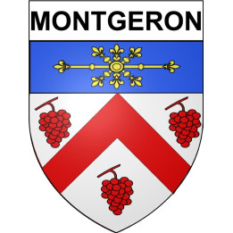 Montgeron 91 ville Stickers blason autocollant adhésif