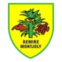 Remire-Montjoly 97 ville Stickers blason autocollant adhésif