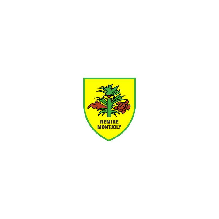 Remire-Montjoly 97 ville Stickers blason autocollant adhésif
