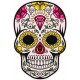 skull01 diamant tete New 654 autocollant adhésif sticker