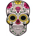 skull01 diamant tete New 654 autocollant adhésif sticker