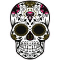 logo groland adesivo adesivo adesivo GRD