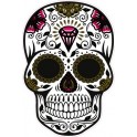 skull01 diamant tete V2 728 autocollant adhésif sticker