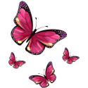 logo groland adesivo adesivo adesivo GRD