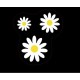 logotipo de groland etiqueta engomada de la etiqueta engomada adhesiva GRD