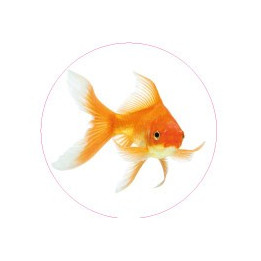 logo groland aufkleber kleber sticker GRD