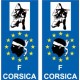 66 Cerdanya de la etiqueta engomada de la etiqueta engomada de la placa