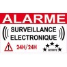 alarme surveillance électronique logo 952 autocollant adhésif sticker
