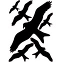 Autocollant Image d'oiseau Pour Fenêtre, 6 Pièces, Evite les Collisions, Haute Résitance logo 6430