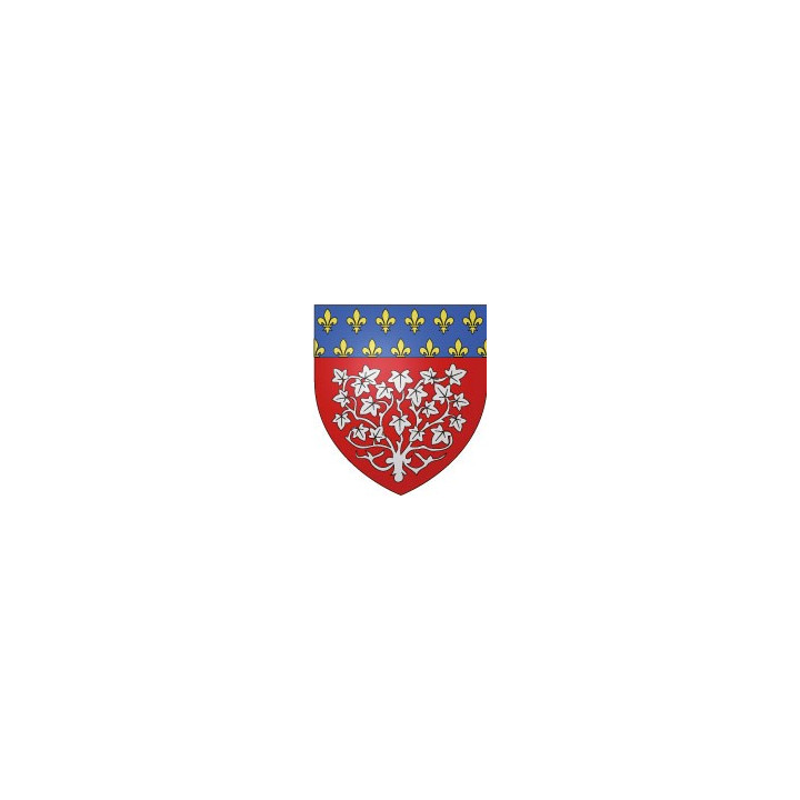 Amiens 80 ville Stickers blason autocollant adhésif