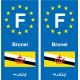 F Europa Brunei adesivo piastra