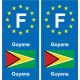 F Europe Guyane Guyana autocollant plaque