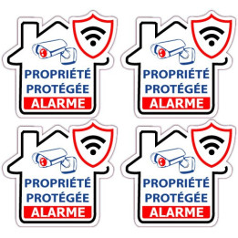 Sticker store under video surveillance alarm 1