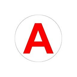 Autocollant sticker voiture camion jeune conducteur A officiel apprenti homologue panneau