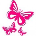 logo groland sticker adhesive sticker GRD