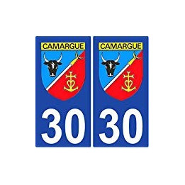 Etiqueta engomada de la placa de auto escudo de armas de la Camarga número de departamento elección