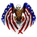 Autocollant sticker voiture moto aigle usa drapeau etats unis amerique biker