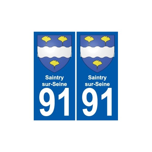 91 Saintry-sur-Seine escudo de armas de la etiqueta engomada de la placa de pegatinas de la ciudad