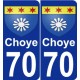 70 Choye blason autocollant plaque stickers ville