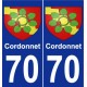 70 Cordonnet blason autocollant plaque stickers ville