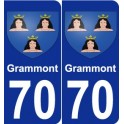 70 Grammont blason autocollant plaque stickers ville