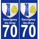 70 Sauvigney-lès-Gray blason autocollant plaque stickers ville